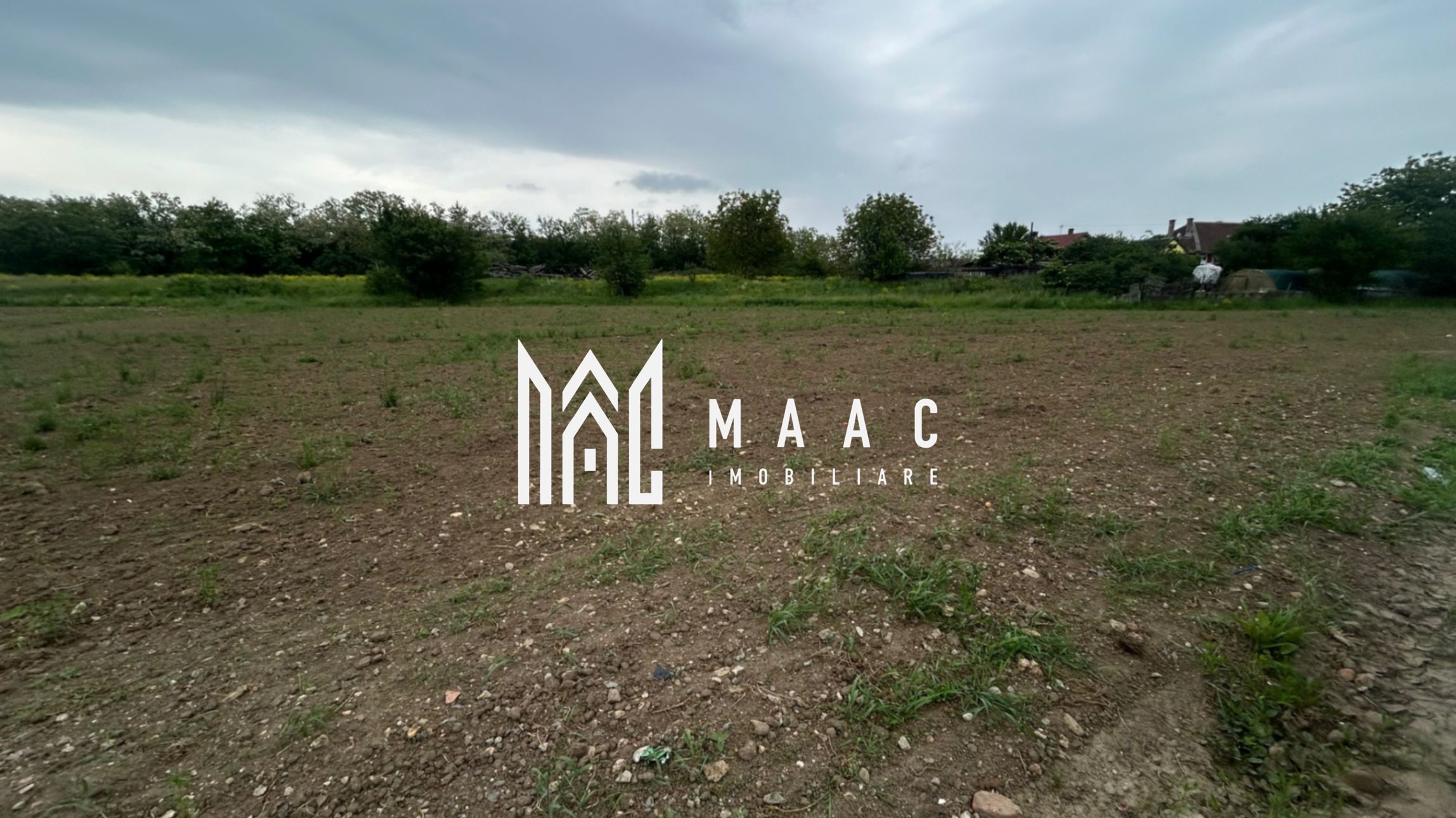 Teren Șelimbăr | 4517Mp | Intravilan