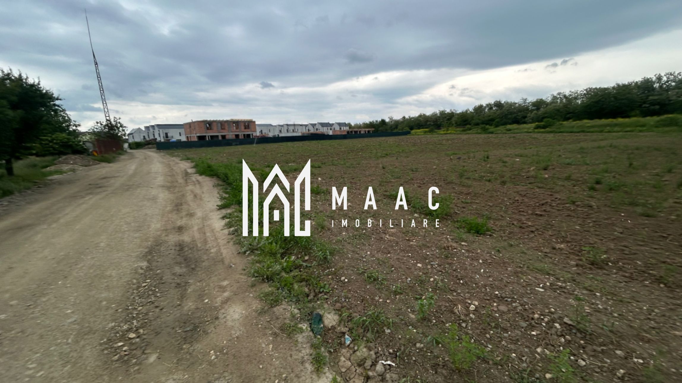 Teren Șelimbăr | 4517Mp | Intravilan — fotografia 3