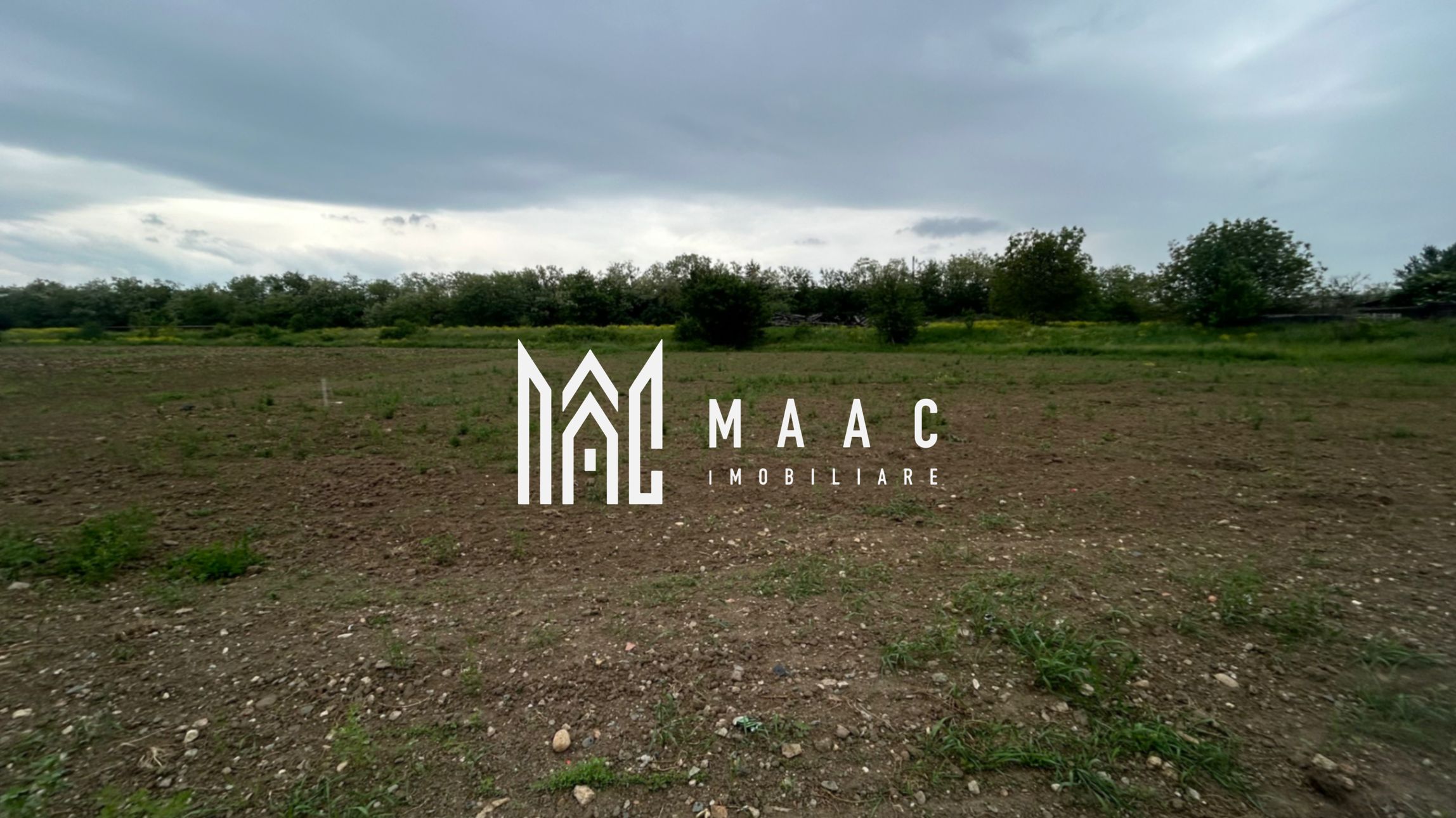 Teren Șelimbăr | 4517Mp | Intravilan — fotografia 4