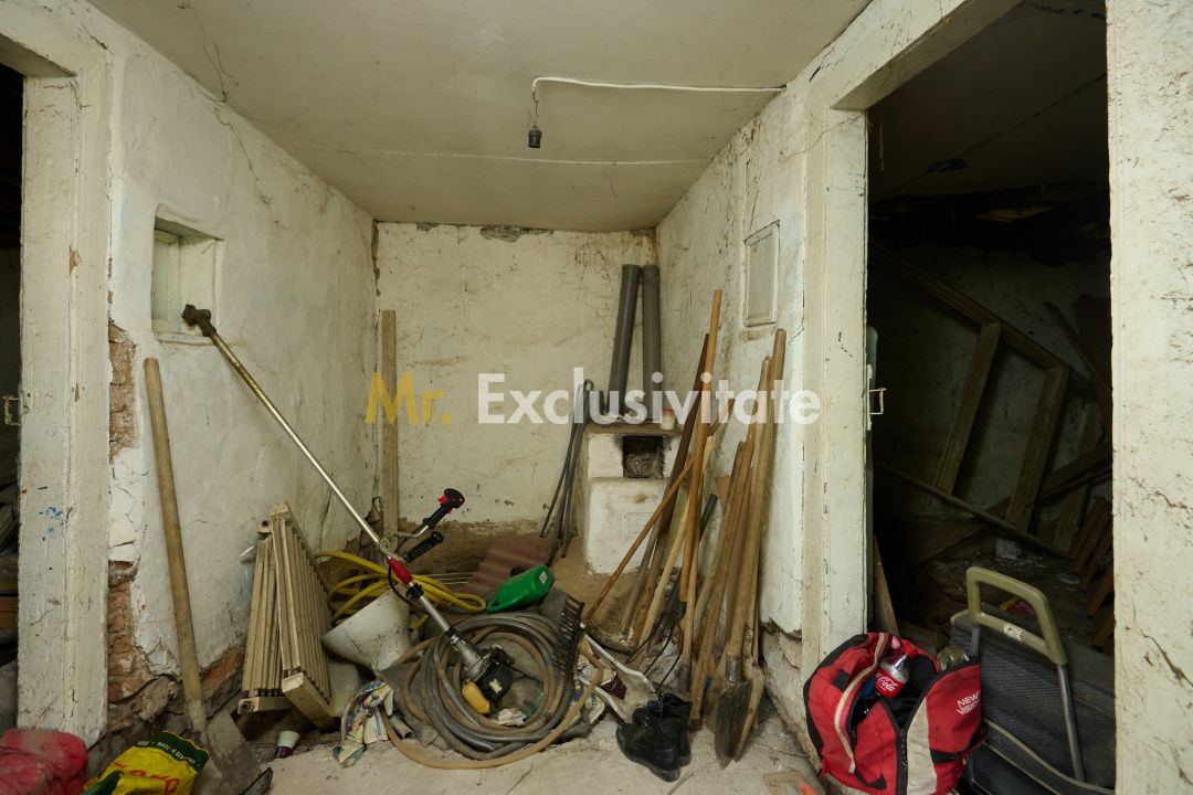 Teren 2240 mp intravilan + casa batraneasca Hintesti-Basangesti — fotografia 11