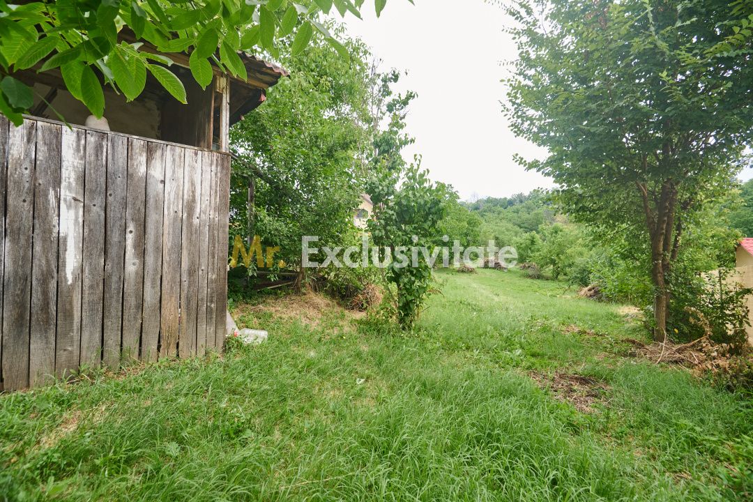 Teren 2240 mp intravilan + casa batraneasca Hintesti-Basangesti — fotografia 3
