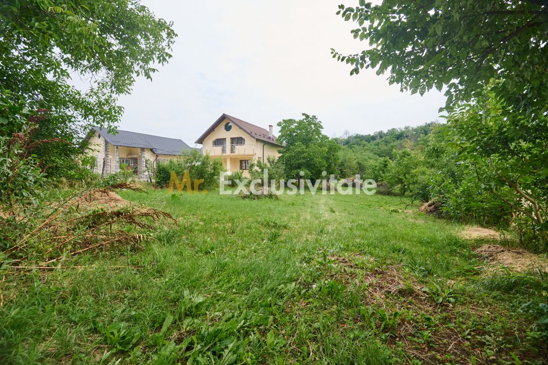 Teren 2240 mp intravilan + casa batraneasca Hintesti-Basangesti — fotografia 4