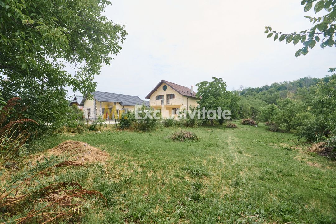 Teren 2240 mp intravilan + casa batraneasca Hintesti-Basangesti — fotografia 5