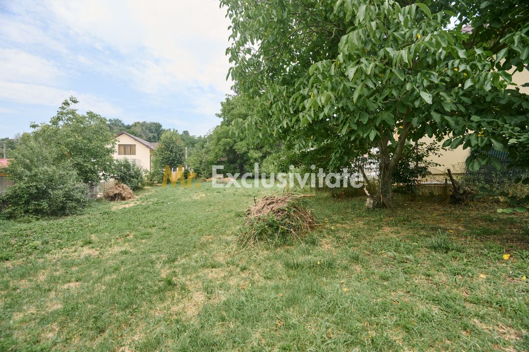 Teren 2240 mp intravilan + casa batraneasca Hintesti-Basangesti — fotografia 8