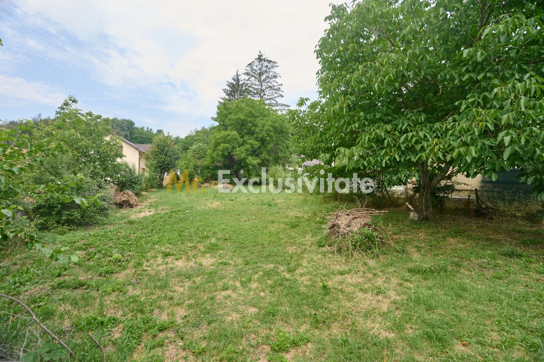 Teren 2240 mp intravilan + casa batraneasca Hintesti-Basangesti — fotografia 9