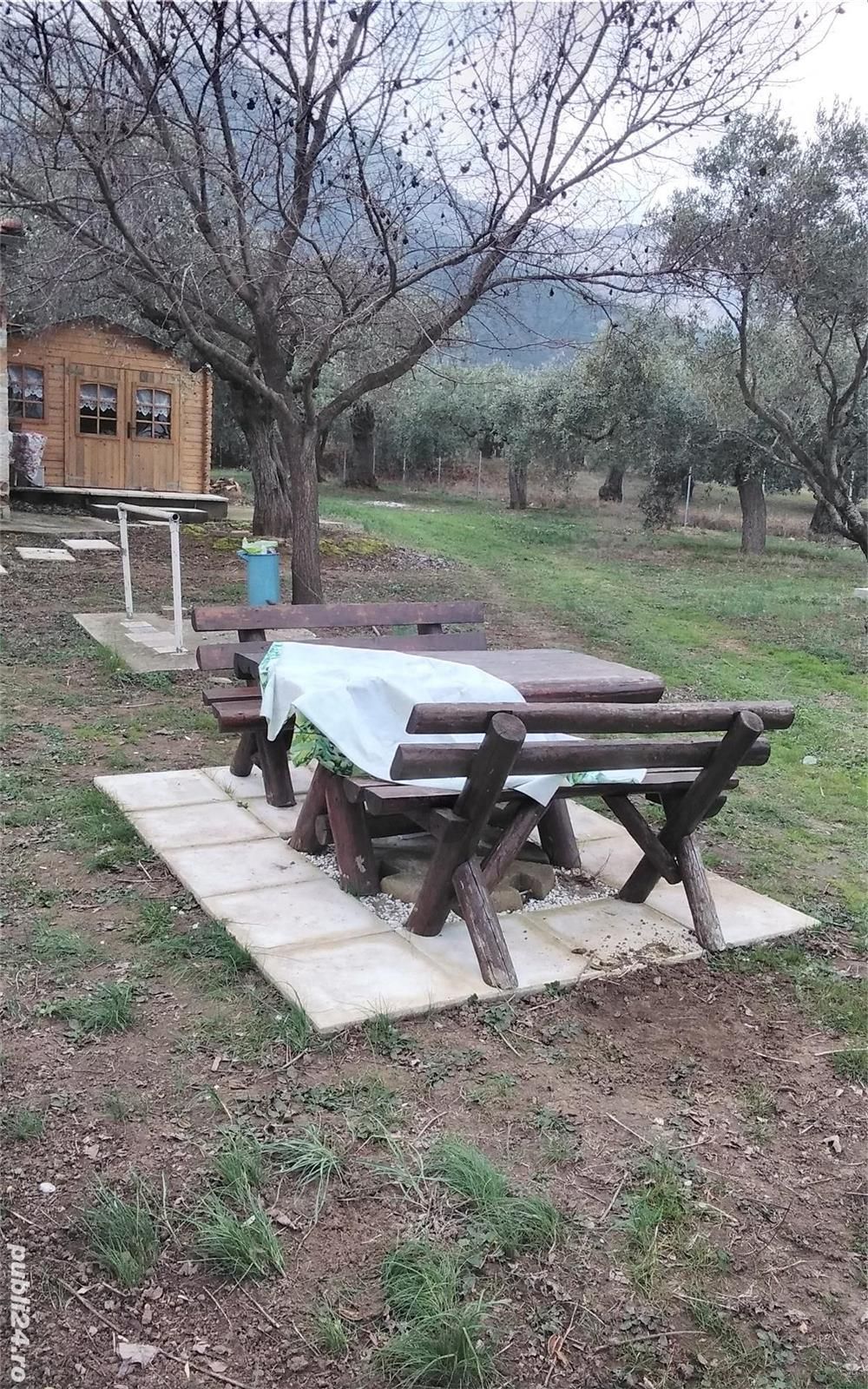 Skala Potamia Thassos-casa piatră+studio+cabană lemn,dependinte, 2500mp teren,700m până la mare.... — fotografia 4