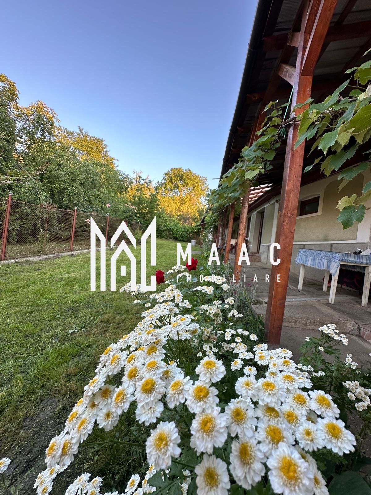 Casă tradițională I 100 mp utili I teren 1830 mp I Armeni I SIBIU — fotografia 14