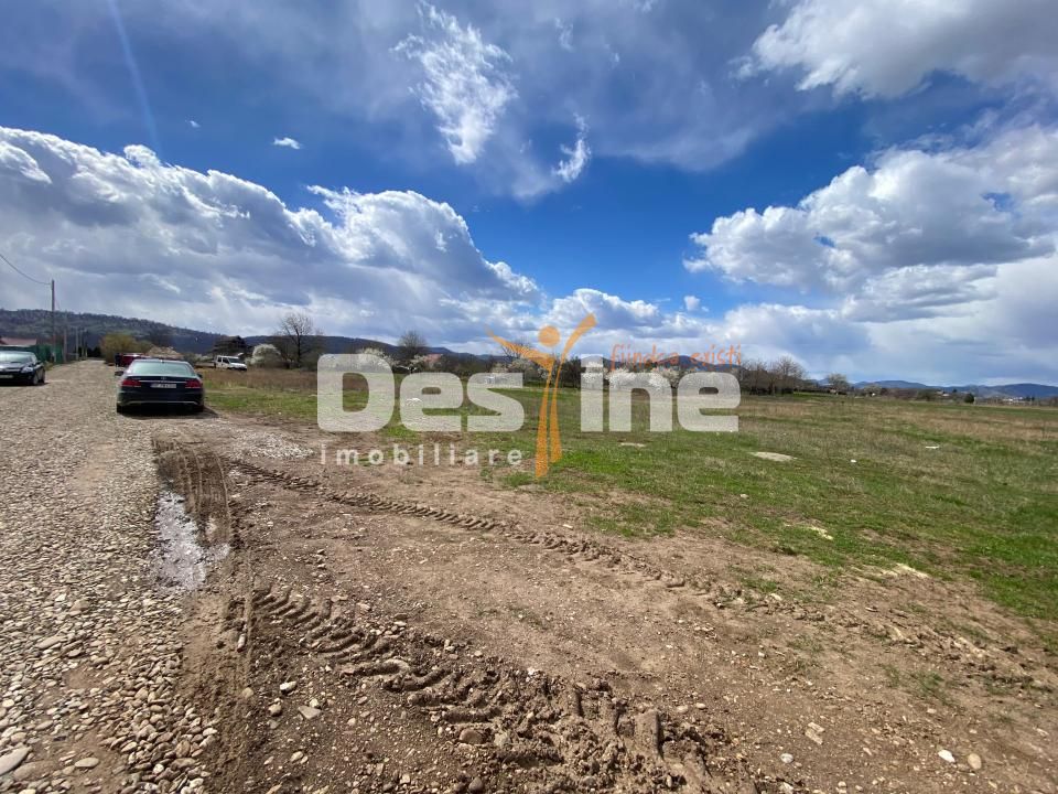 Teren de vanzare Dumbrava Rosie 30Euro/mp 900mp — fotografia 4