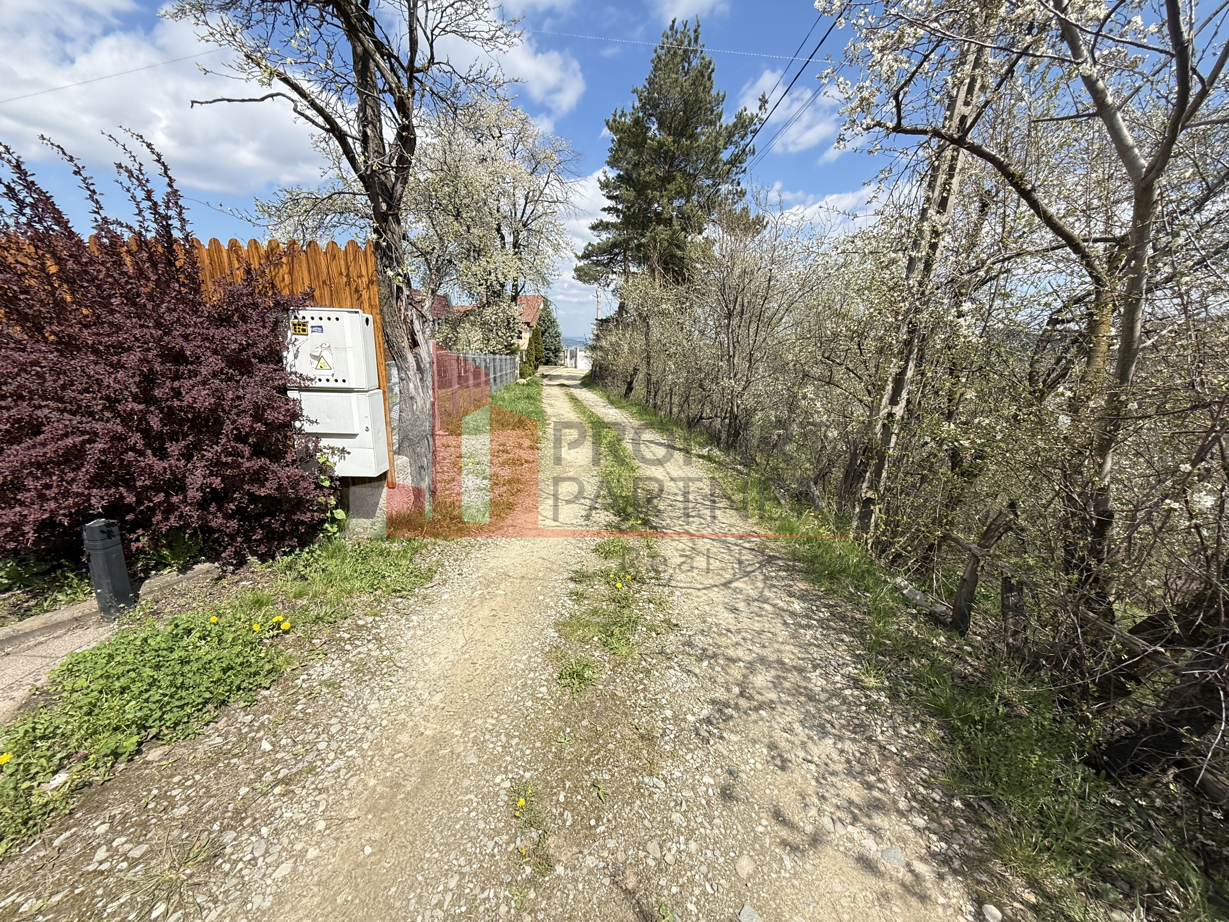 Teren intravilan 2500 mp- Sohodol, Bran – vedere panoramică — fotografia 4