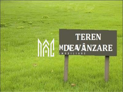 Teren de casa 21 | 500MP | PUZ | Intravilan | Sura Mica — fotografia 6