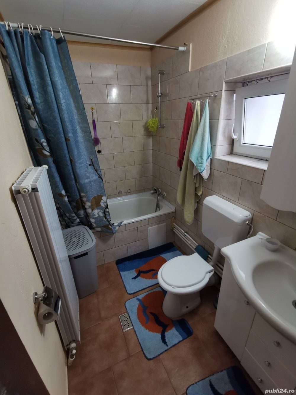 vand casa Satu Mare str spicului 3 cam placa de beton — fotografia 6