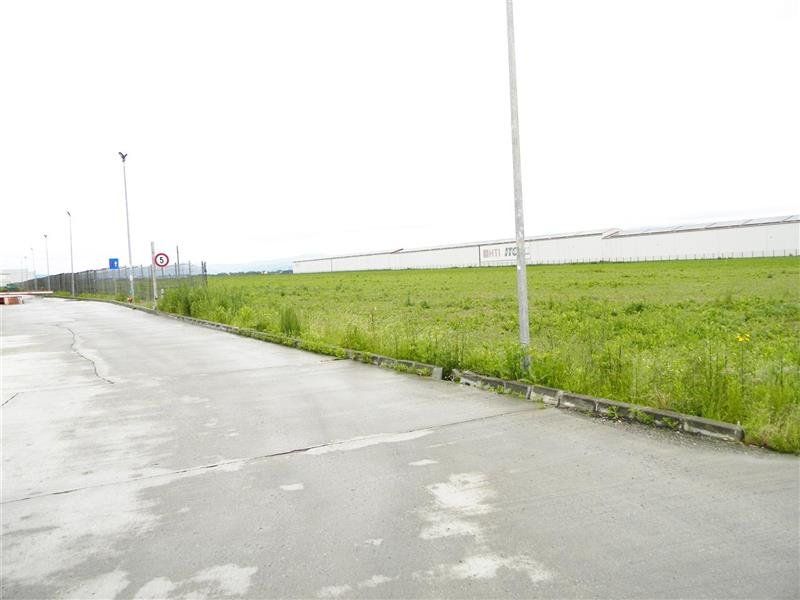 Teren  pentru hale-Ghimbav- Joysonquin,25000mp — fotografia 10