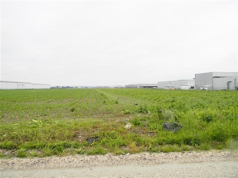 Teren  pentru hale-Ghimbav- Joysonquin,25000mp — fotografia 11