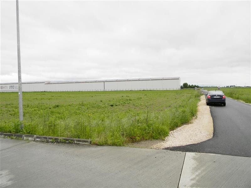 Teren  pentru hale-Ghimbav- Joysonquin,25000mp — fotografia 4