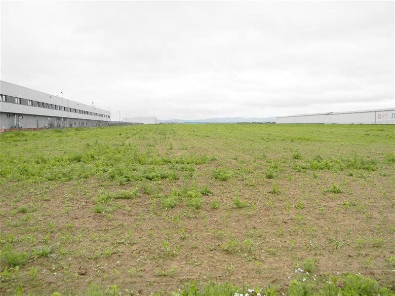 Teren  pentru hale-Ghimbav- Joysonquin,25000mp — fotografia 6