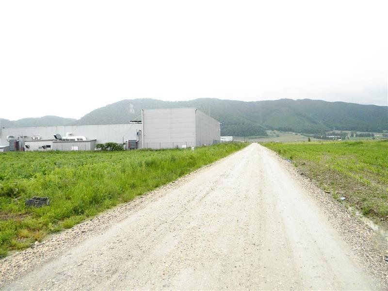 Teren  pentru hale-Ghimbav- Joysonquin,25000mp — fotografia 8