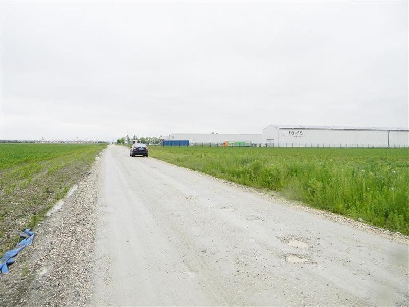 Teren  pentru hale-Ghimbav- Joysonquin,25000mp — fotografia 9
