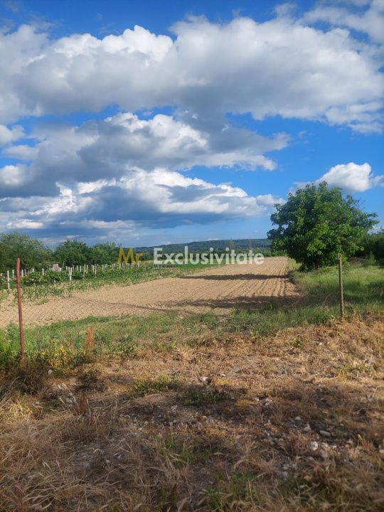 Teren 3.000 mp la principală în Telești | 30.000€ | Comision 0% — fotografia 3