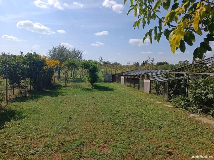 Casă cu 3 camere 85 mp în Freidorf + 2.877 mp teren — fotografia 2