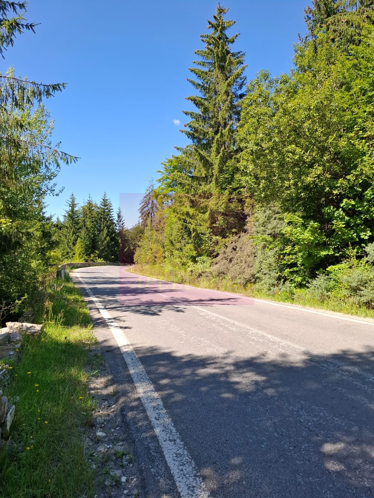 Teren de vânzare în zona Cota 1000 – Sinaia — fotografia 3