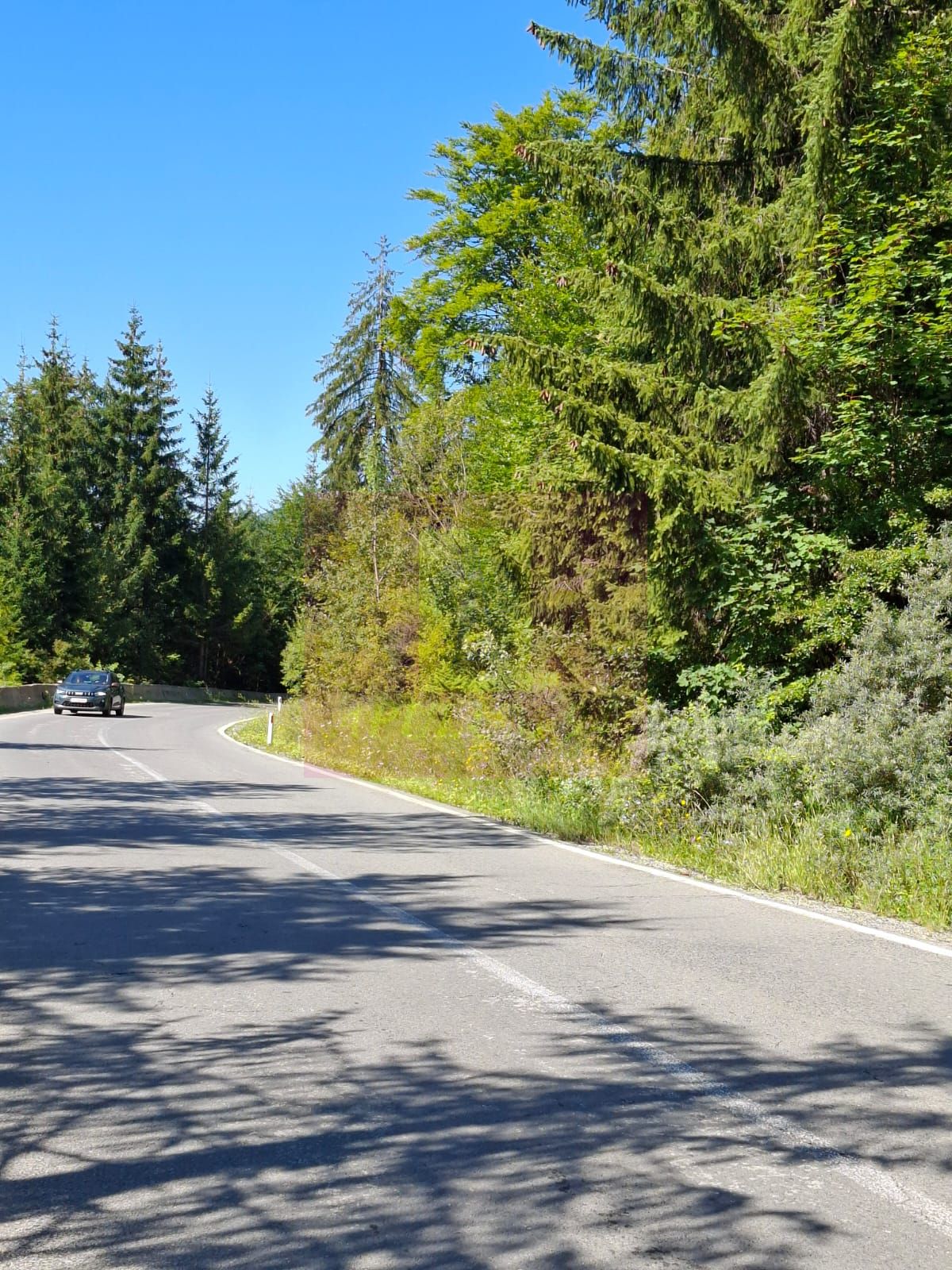 Teren de vânzare în zona Cota 1000 – Sinaia — fotografia 5