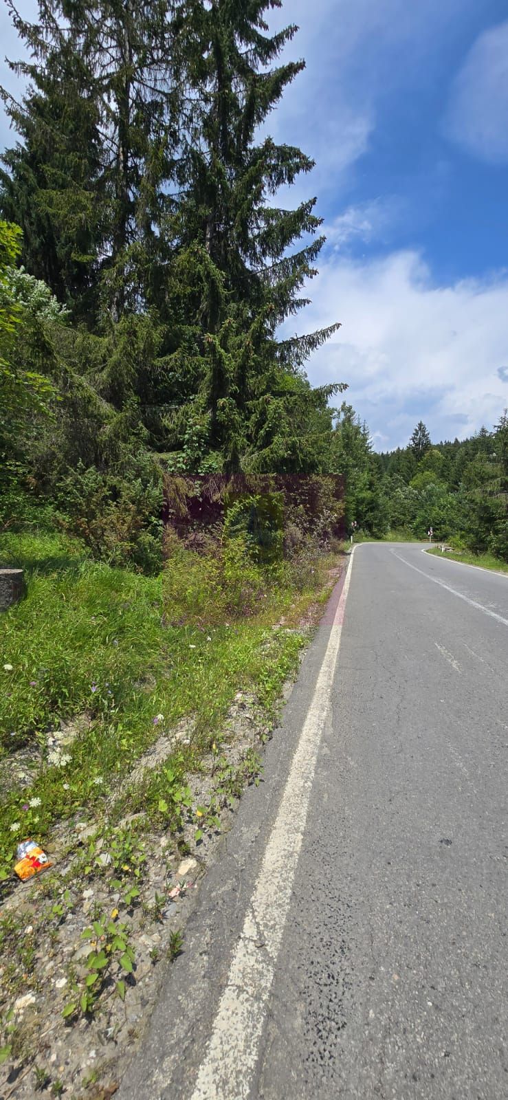 Teren de vânzare în zona Cota 1000 – Sinaia — fotografia 6