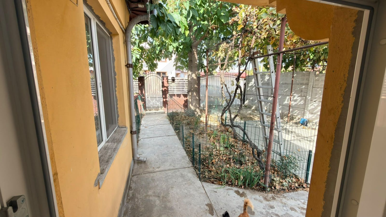 Casă / Vilă de vânzare în zona Lascar Catargiu 517mp — fotografia 6