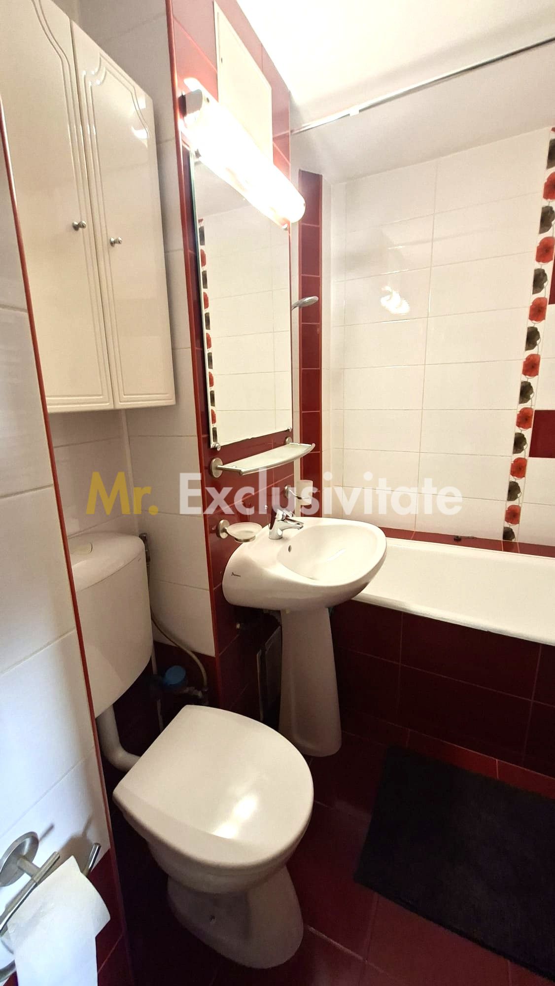 Inchiriere apartament 3 camere Popa Sapca - Alexim — fotografia 5