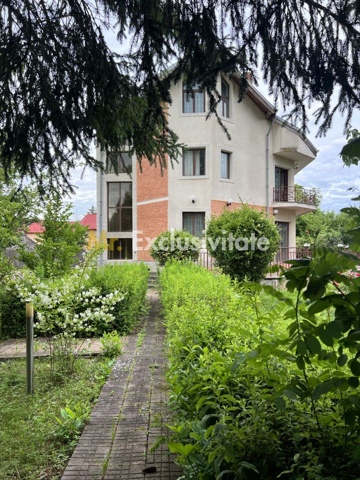 Acasă la Bascov- Județ Arges cu peisaj de poveste — fotografia 10