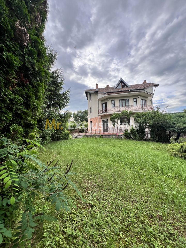 Acasă la Bascov- Județ Arges cu peisaj de poveste — fotografia 23