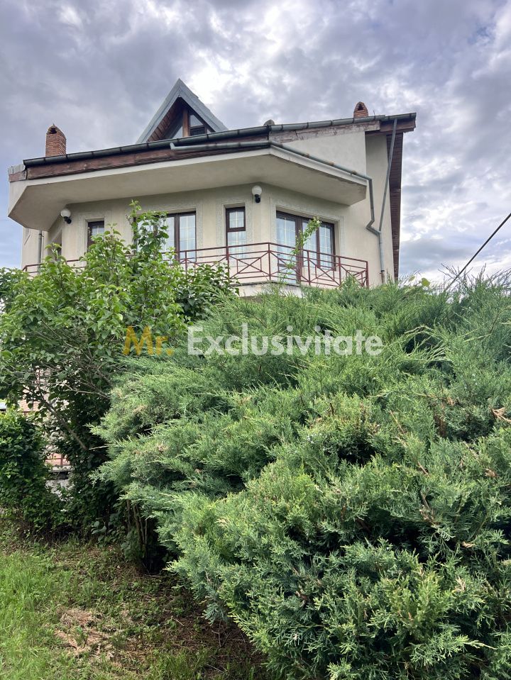 Acasă la Bascov- Județ Arges cu peisaj de poveste — fotografia 27
