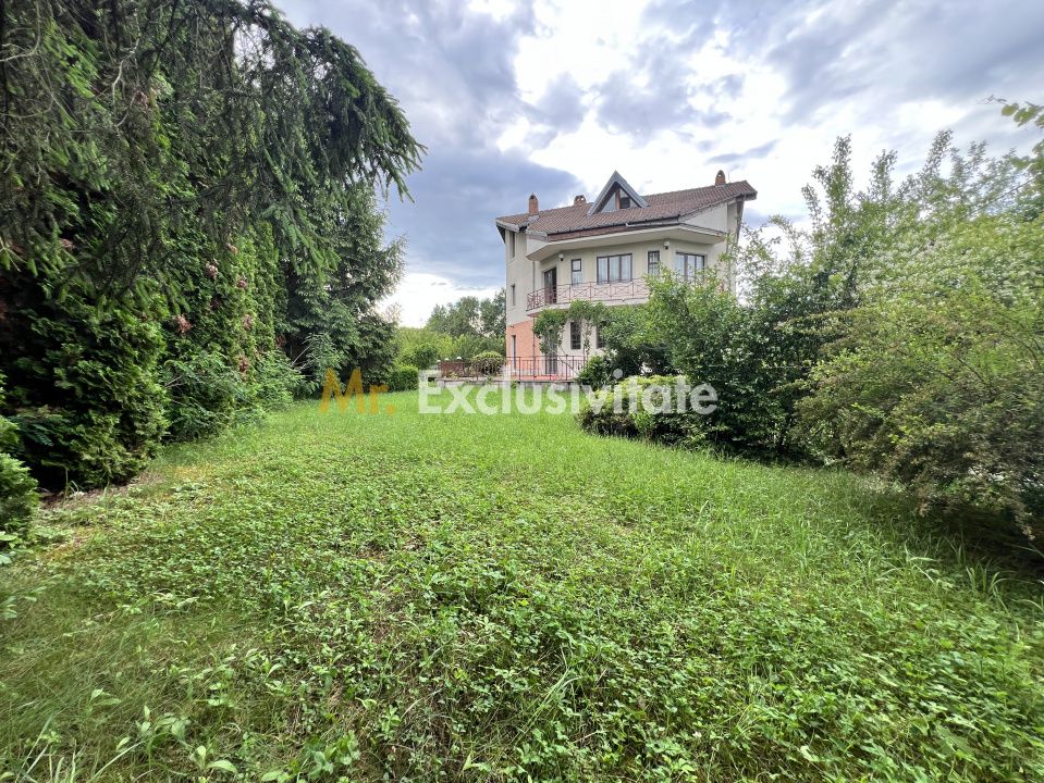 Acasă la Bascov- Județ Arges cu peisaj de poveste — fotografia 5