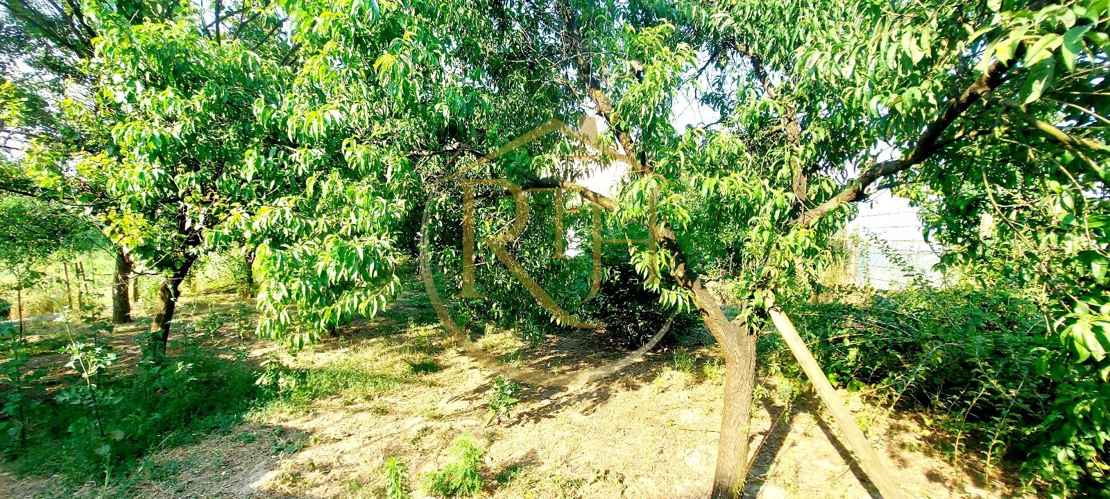 Oferim spre vanzare casa, 6 camere, 162mp utili, 809mp teren, in Giroc — fotografia 10