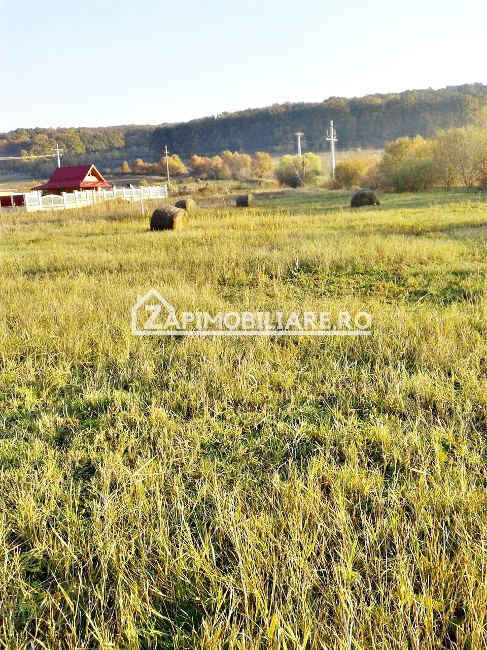 Teren 780 mp, Livezeni cu PUG aprobat recent,asfalt — fotografia 12