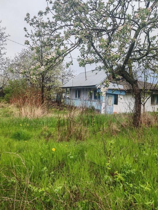Teren intravilan in suprafata de 3160 mp, Puscasi, Poiana lui Alexa