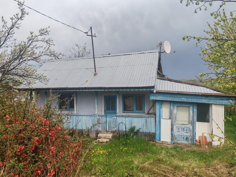 Teren intravilan in suprafata de 3160 mp, Puscasi, Poiana lui Alexa — fotografia 2