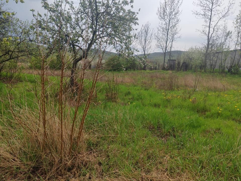 Teren intravilan in suprafata de 3160 mp, Puscasi, Poiana lui Alexa — fotografia 3