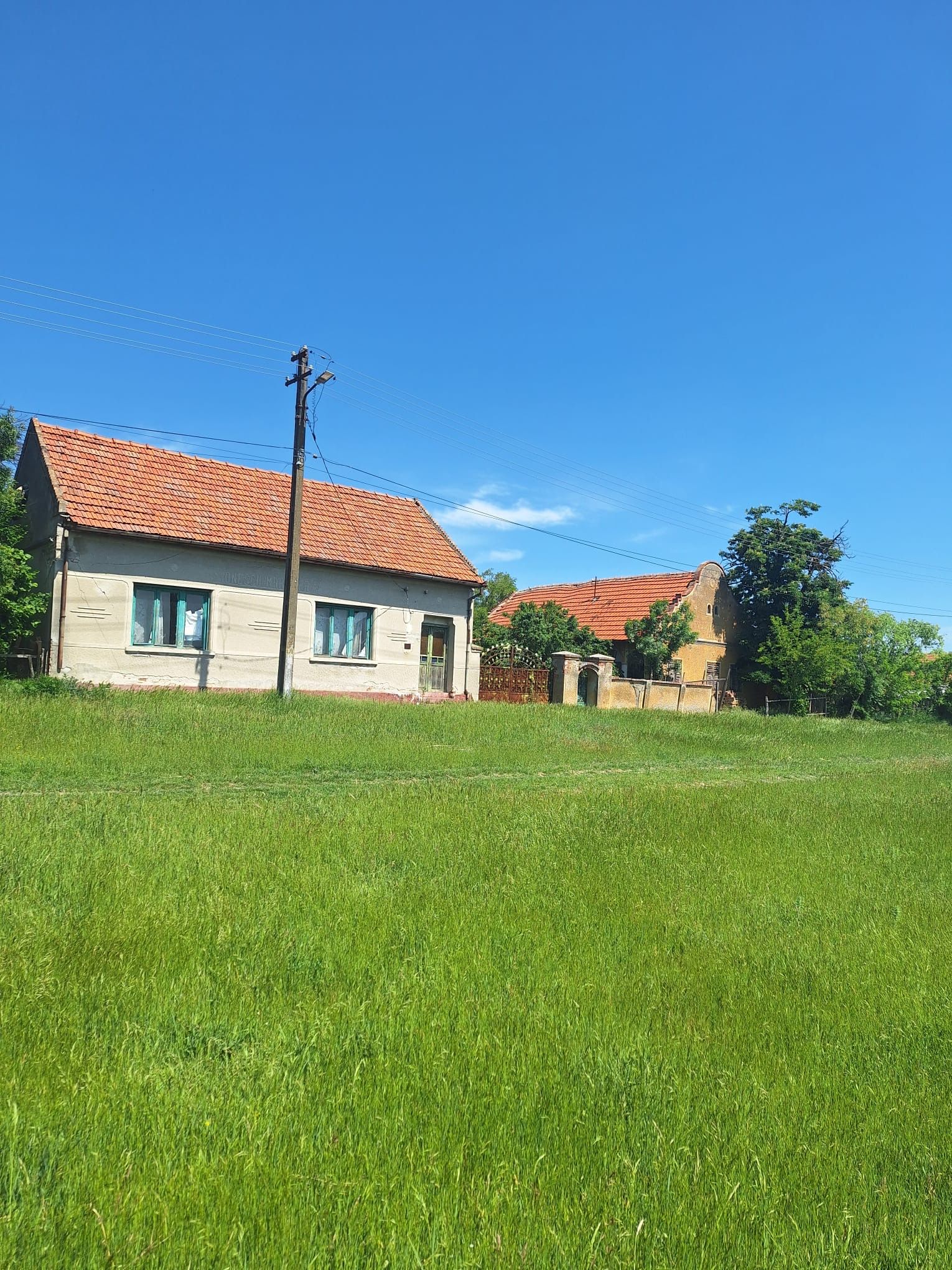 Teren vanzare-8000 m2-Cheveresu Mare -100 m front stradal — fotografia 3
