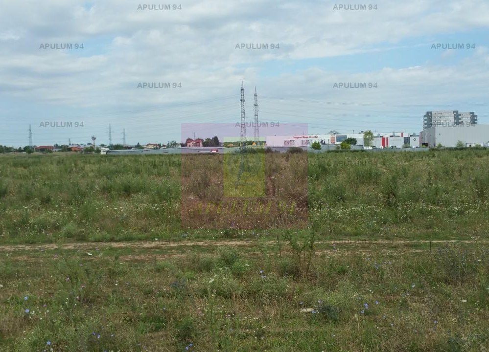 Teren Fundeni-Dobroesti — fotografia 3