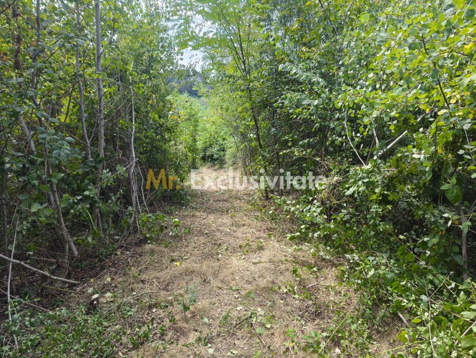 Teren 2552 mp, panorama superba Mosoaia Hintesti -Strada  Basangesti — fotografia 4