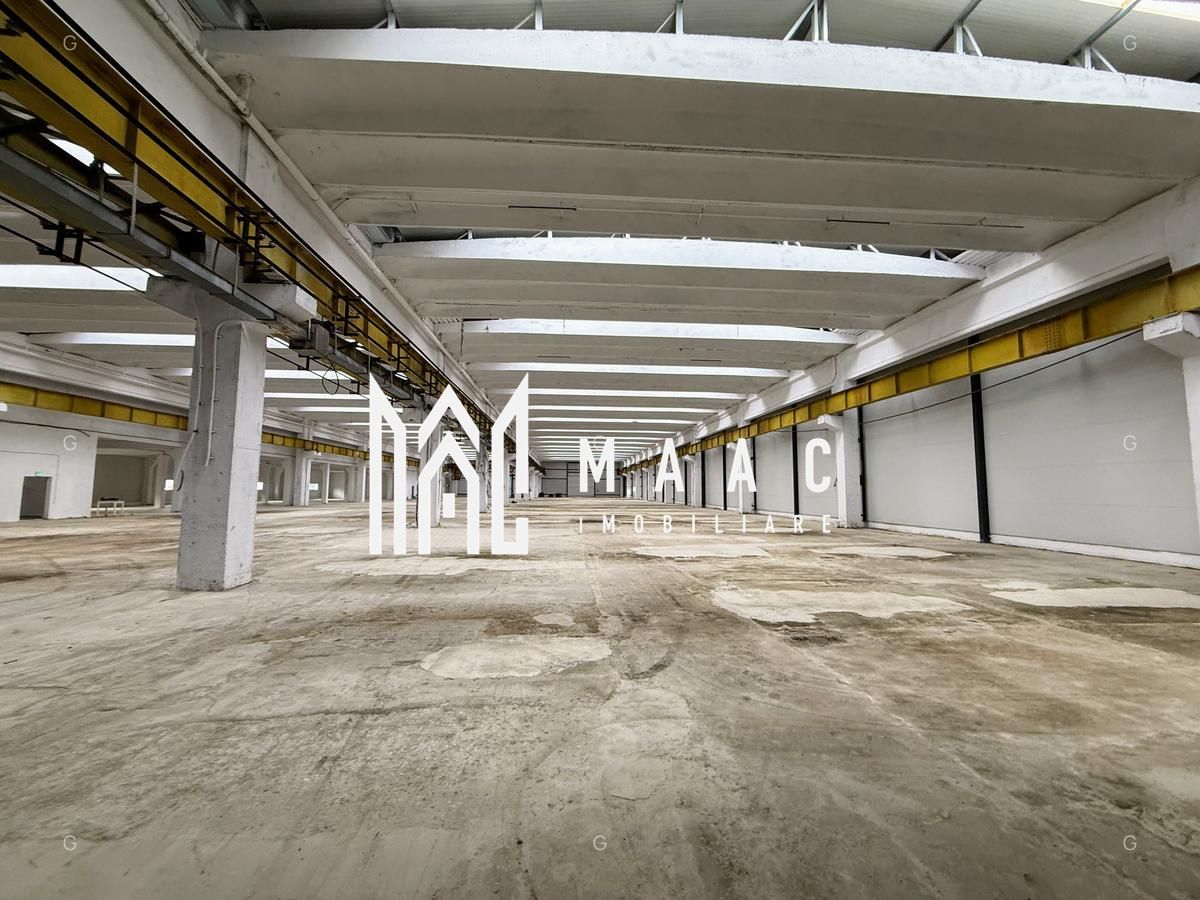 Hala producție I 6857 mp I Acces TIR I Pod Rulant I Mârșa — fotografia 3