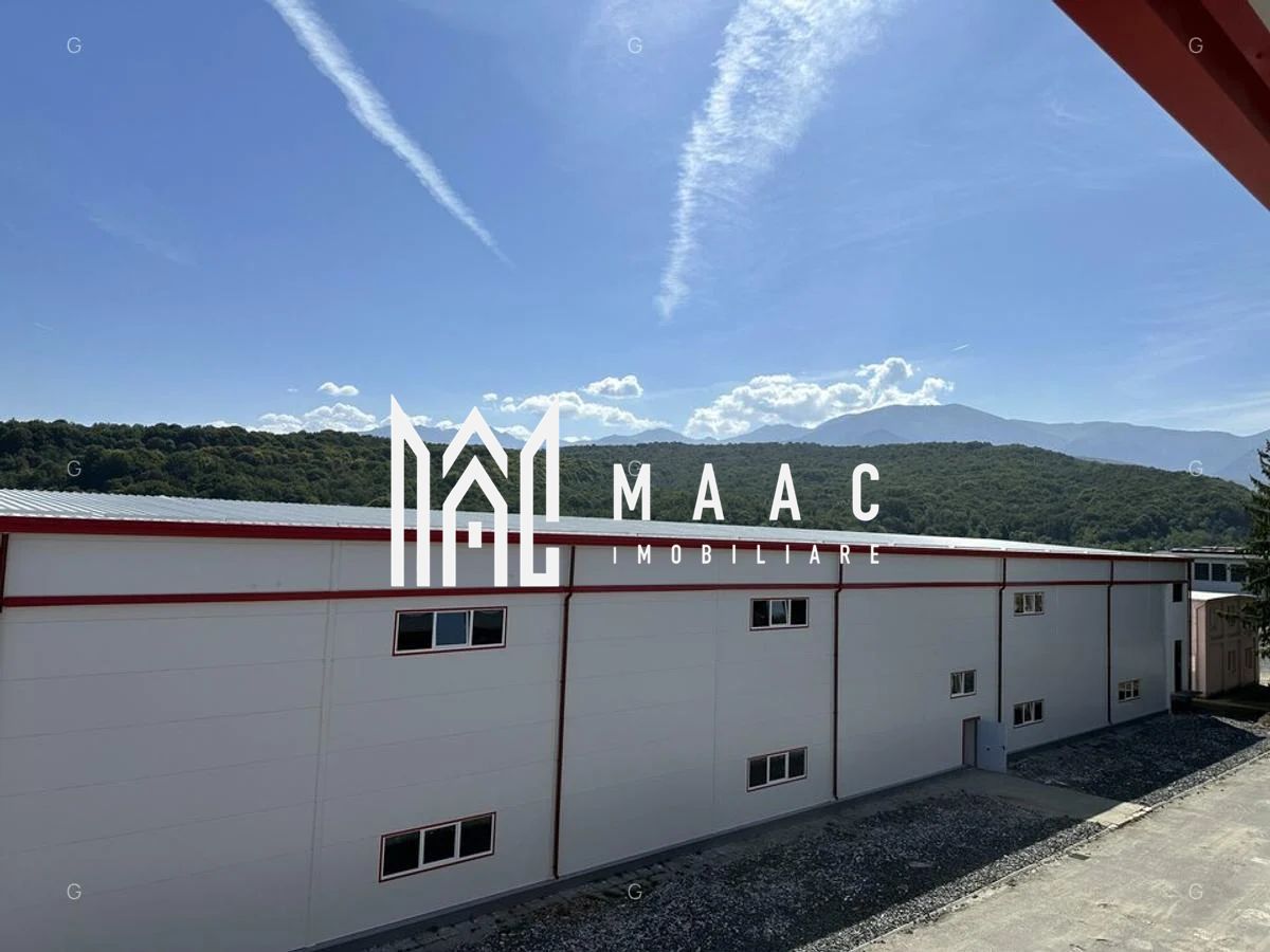 Hala producție I 6857 mp I Acces TIR I Pod Rulant I Mârșa — fotografia 5