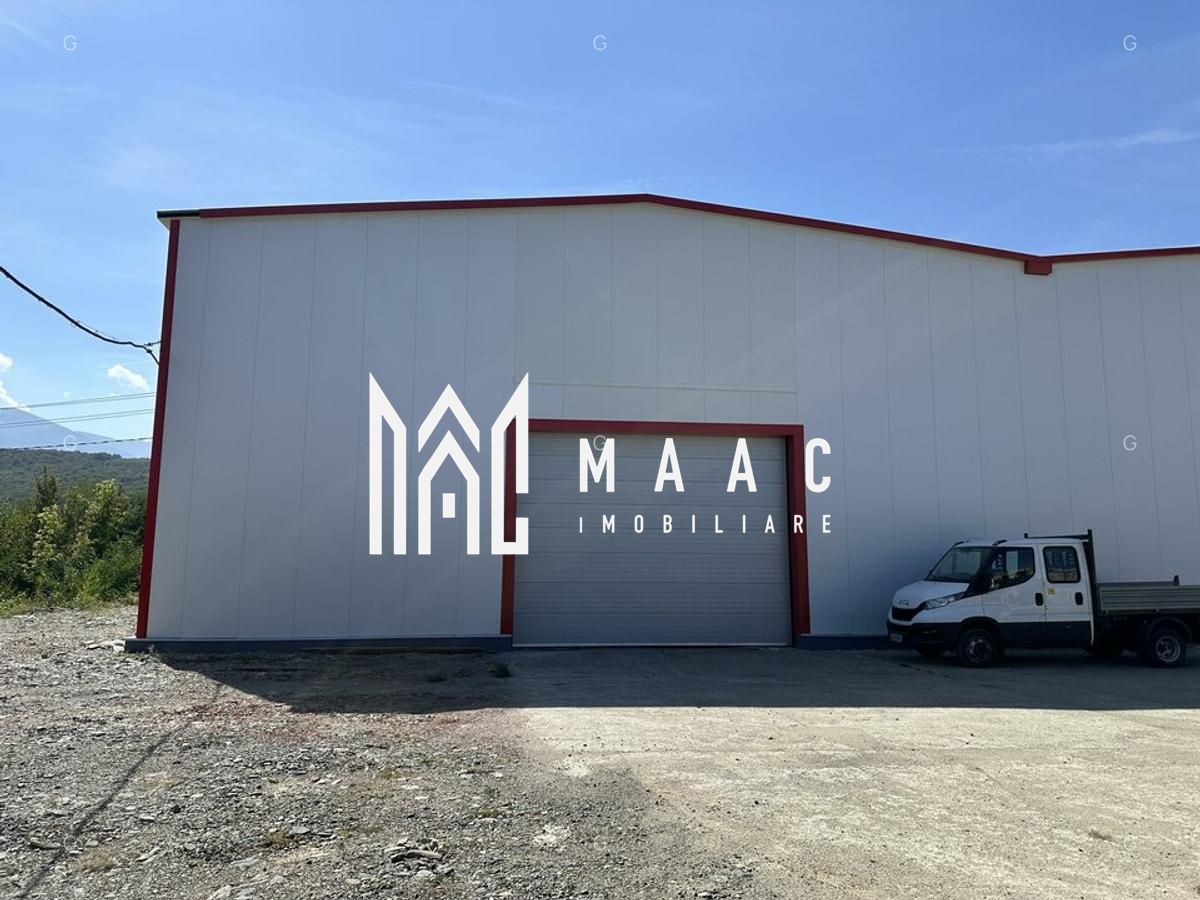 Hala producție I 6857 mp I Acces TIR I Pod Rulant I Mârșa — fotografia 7