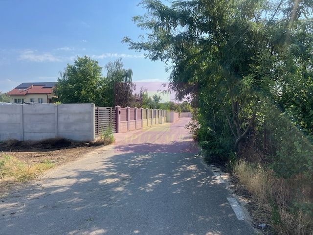 Teren Clinceni- Putul Olteni- Crizantemelor. — fotografia 3