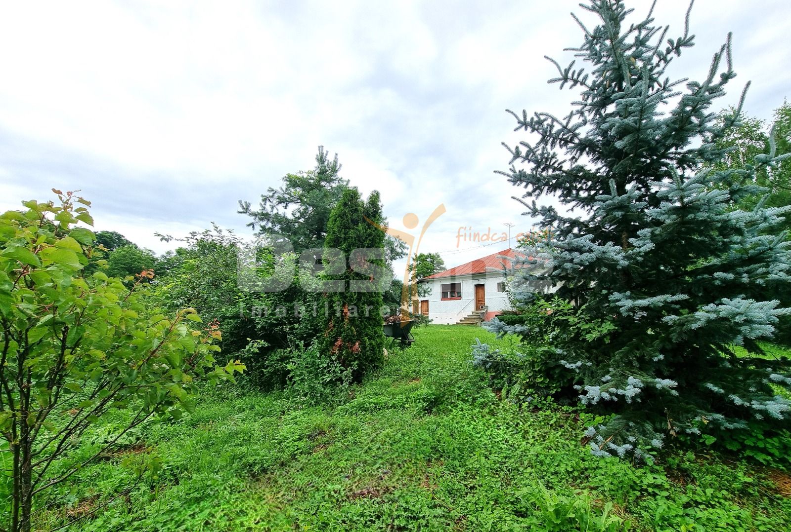 Casa din Caramida + 4000 mp teren  central Drajna Ogretin! — fotografia 14