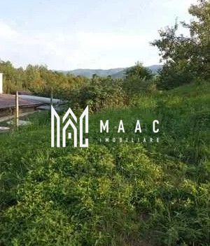 Teren intravilan 1000 mp | Cisnădioara-Sibiu| P+1+M | Utilități |