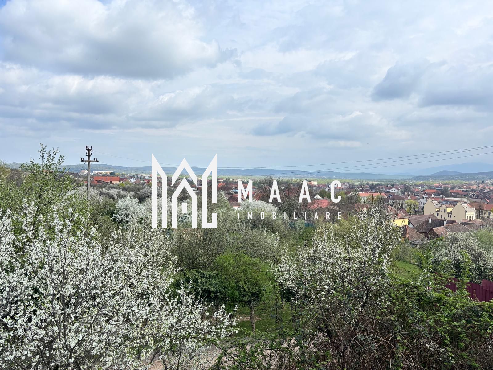 Teren Intravilan | 855 MP | Săliște — fotografia 3