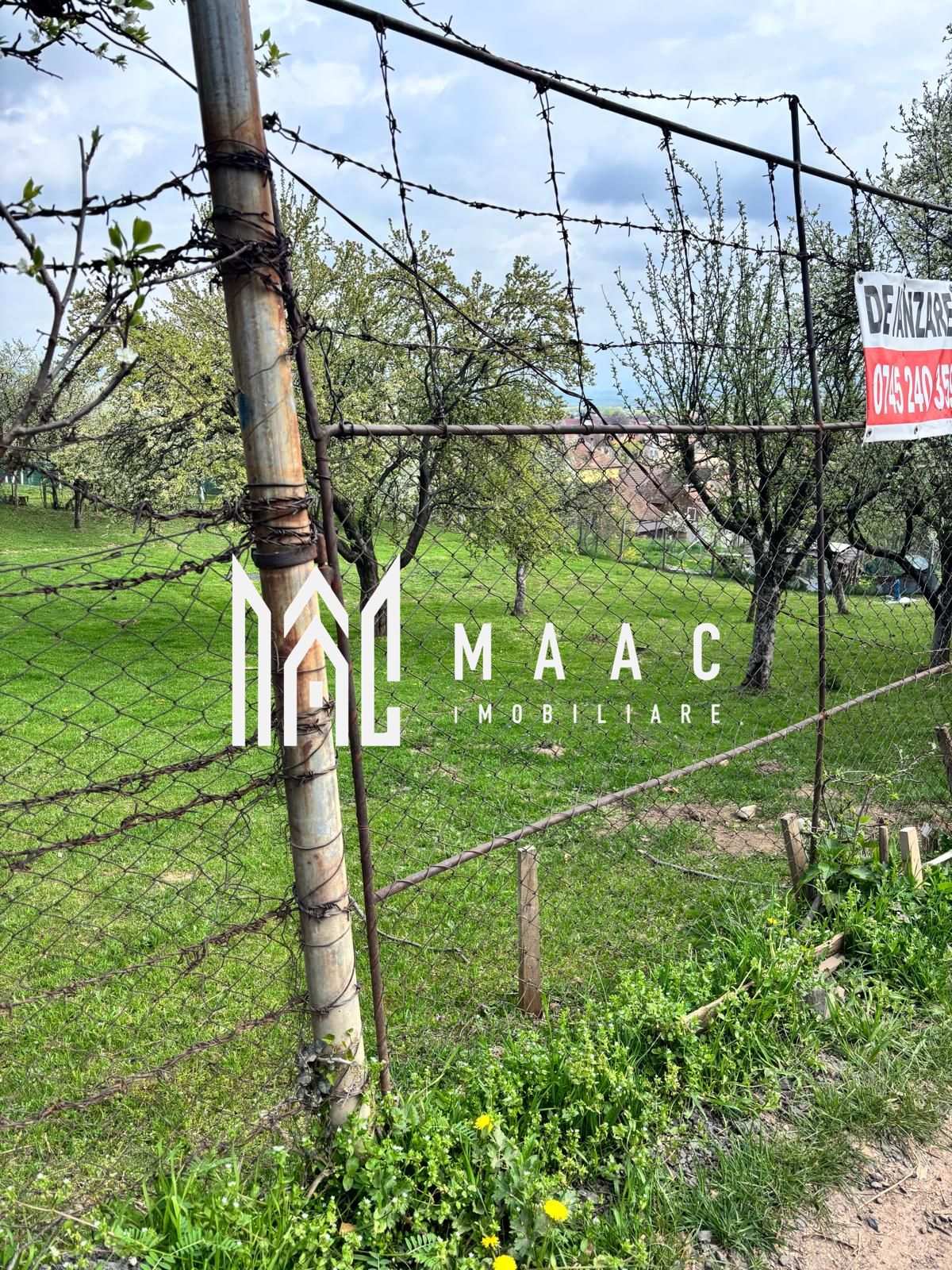 Teren Intravilan | 855 MP | Săliște — fotografia 7