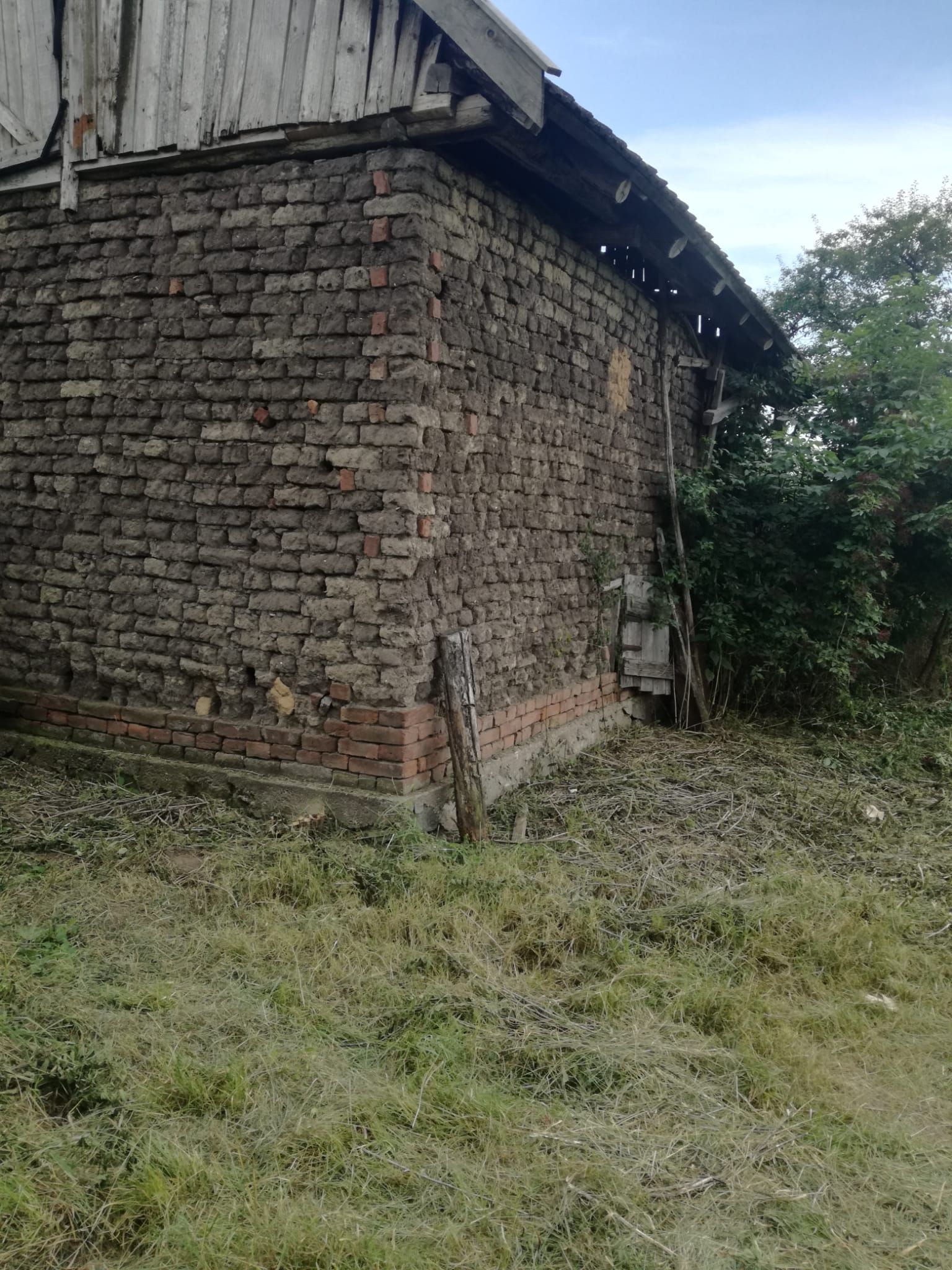 Ag BRASADAS vinde casa LOCUIBILA 3 cam teren 5.000 mp HOREA. — fotografia 5