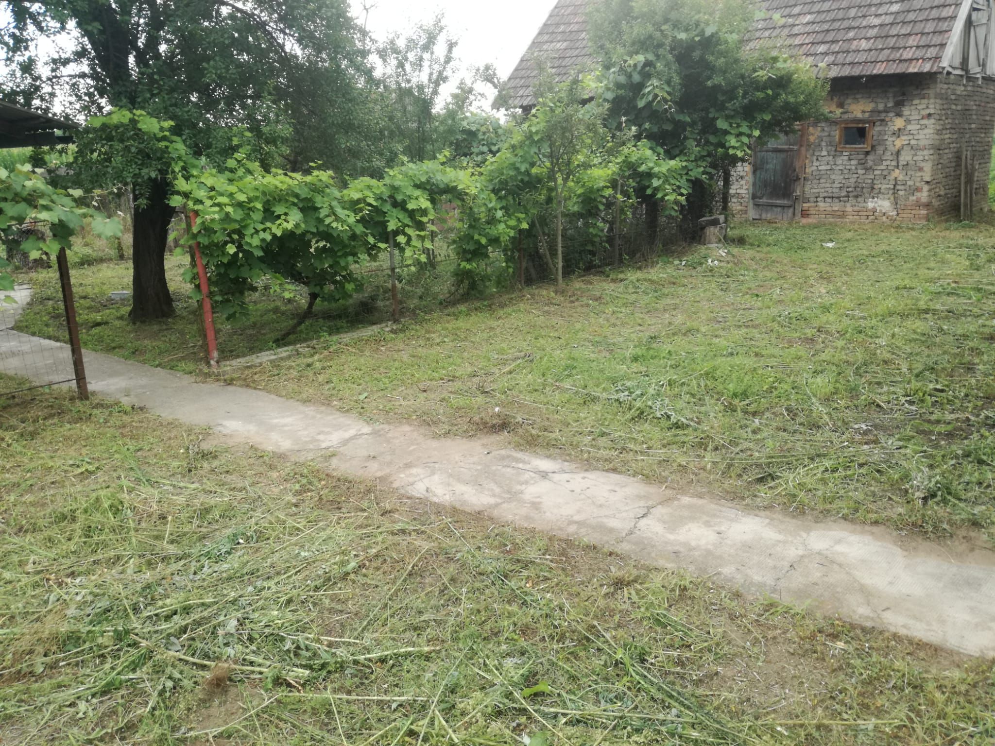 Ag BRASADAS vinde casa LOCUIBILA 3 cam teren 5.000 mp HOREA. — fotografia 6